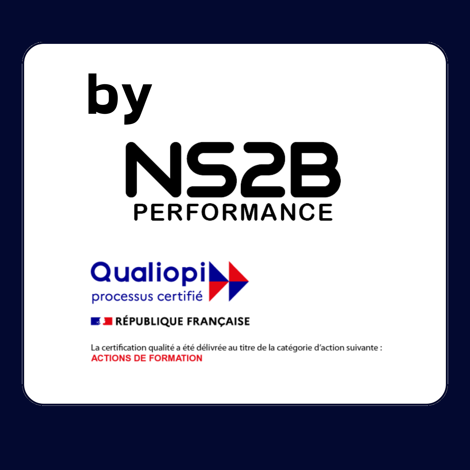 NS2B PERF