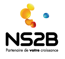 logo ns2b